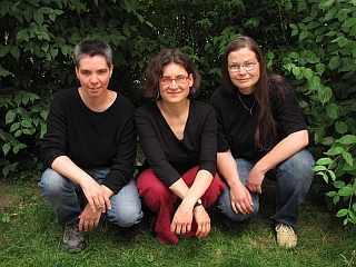Les Salicornes